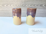 Handmade Ceramic Salt Shaker Set